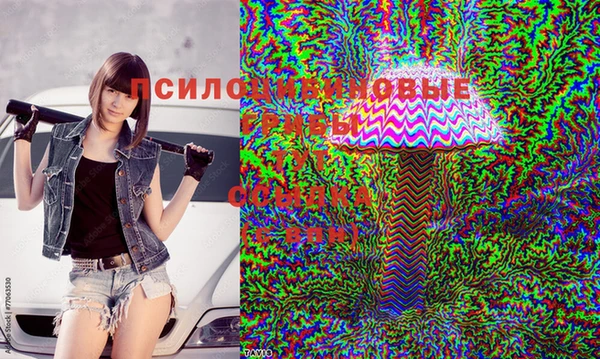 скорость Михайловка